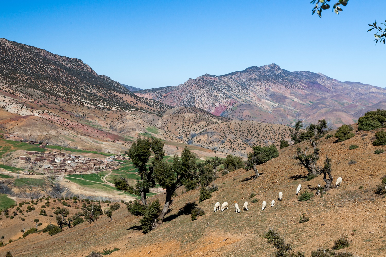 High Atlas mountain retreat near Marrakech, with peaceful valley views, soft travel rhythm and women-friendly wellness atmosphere.