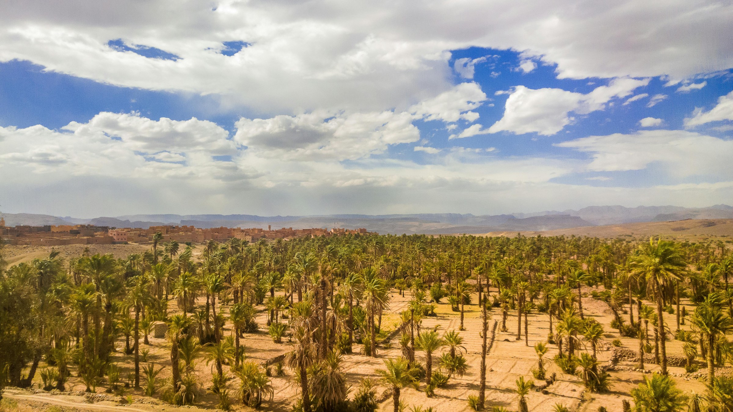 Skoura palm grove and Kasbah Amridil, with oasis landscapes and traditional earthen architecture on Morocco’s kasbah route.