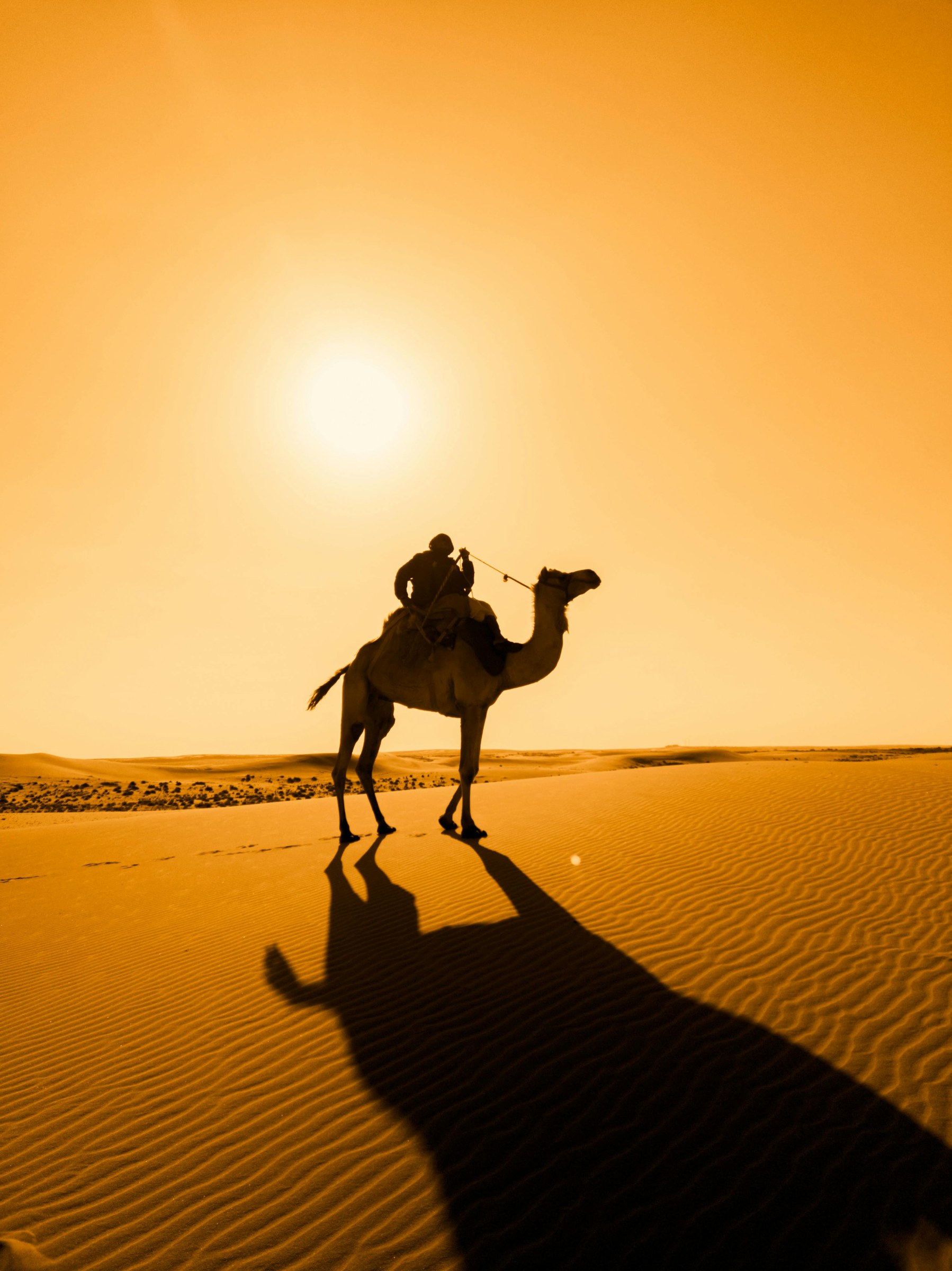 Sahara Desert: What to Expect and How to Prepare