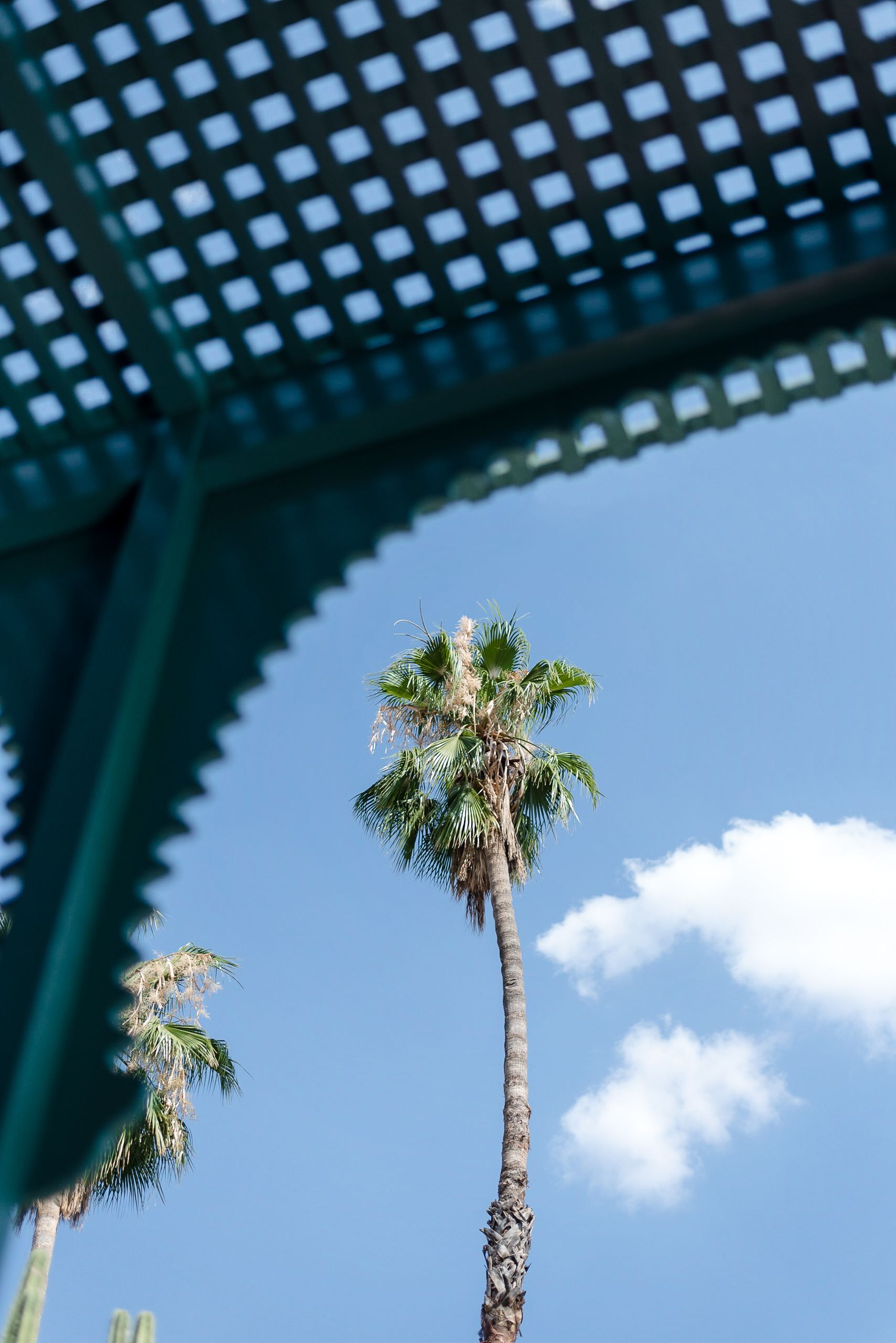 Summer travel season in Morocco
