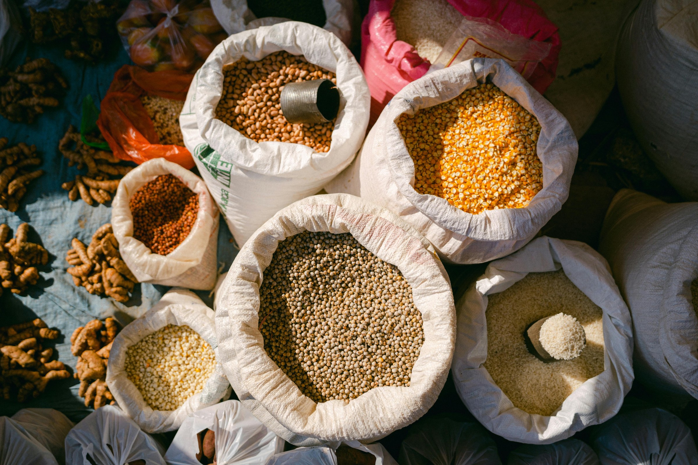 Essaouira medina, Atlantic ramparts, fishing port and relaxed coastal wellness atmosphere during a women’s Morocco retreat.