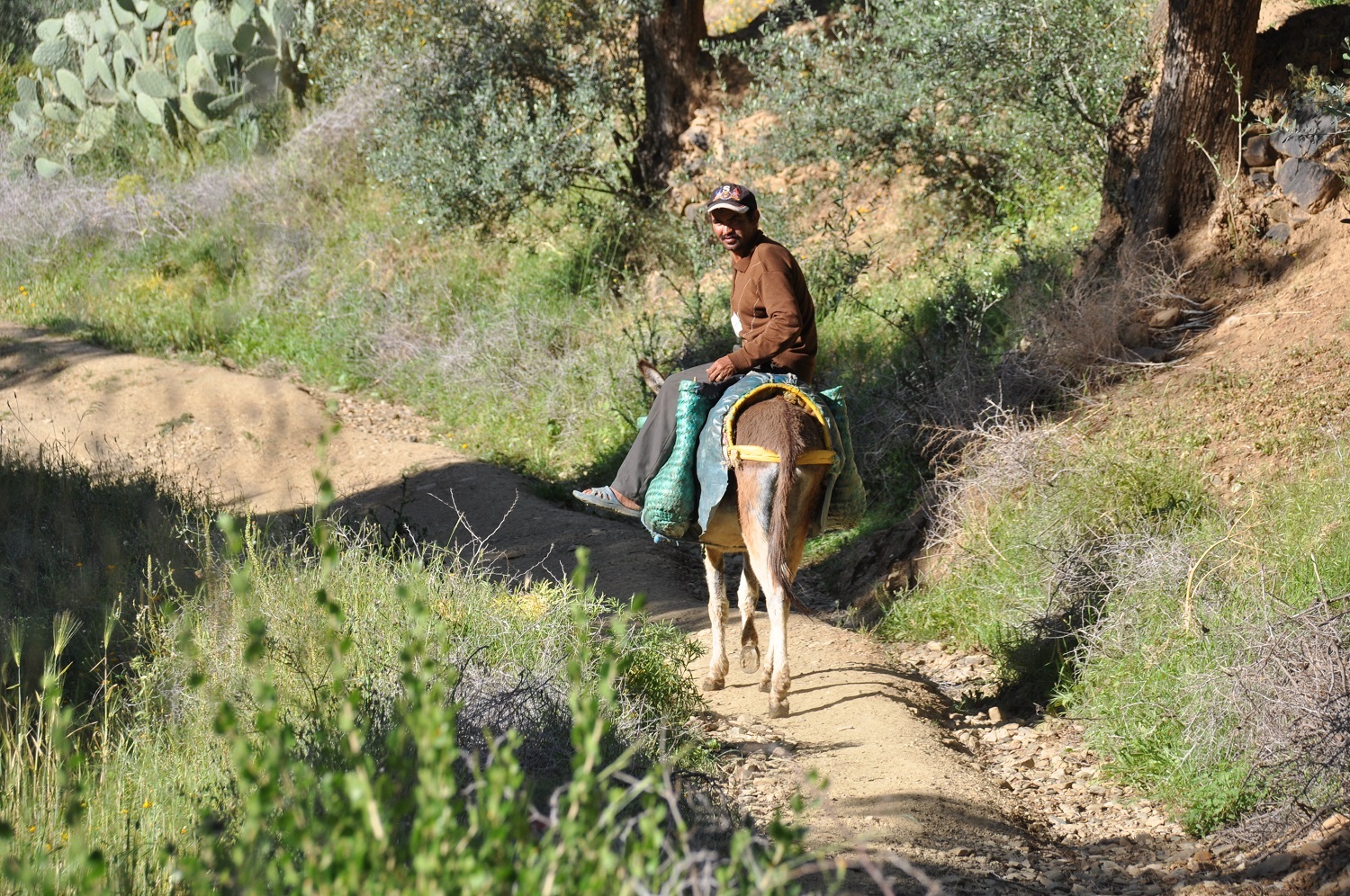 Final morning in Marrakech after a 7-day guided Mount Toubkal trek through Imlil and the High Atlas Mountains.