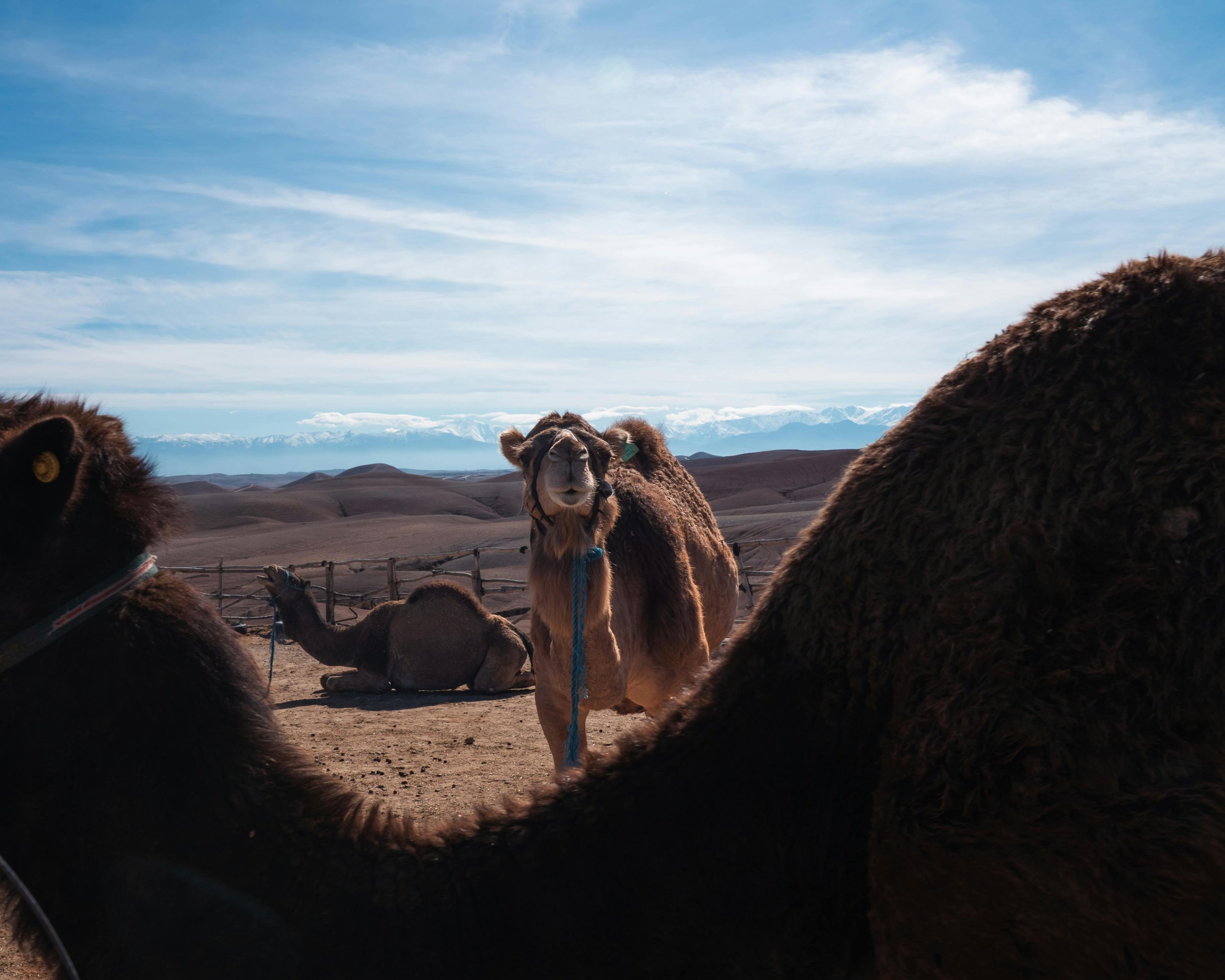 Agafay Desert near Marrakech, with stone desert landscapes, Atlas Mountain views and a private desert camp experience.
