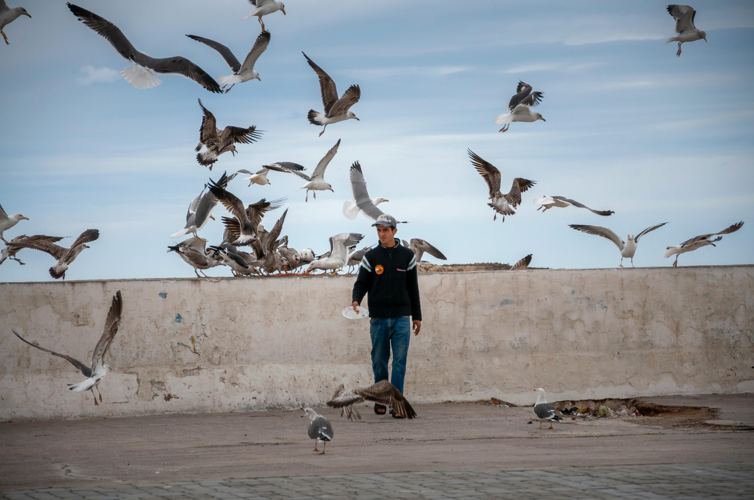 Essaouira harbor at sunrise, historic medina, Atlantic ramparts and relaxed coastal atmosphere after a Morocco trekking journey.
