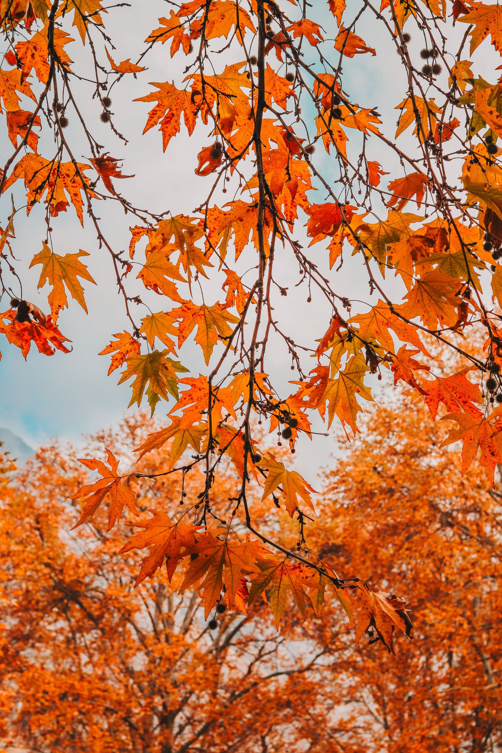 Autumn travel season in Morocco