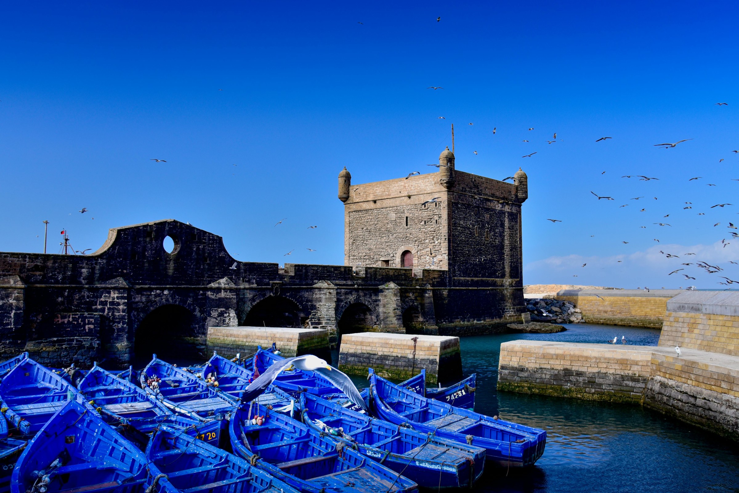 Arrival in Essaouira, with Atlantic medina, ramparts, fishing port and Jewish heritage context during a Morocco family roots itinerary.