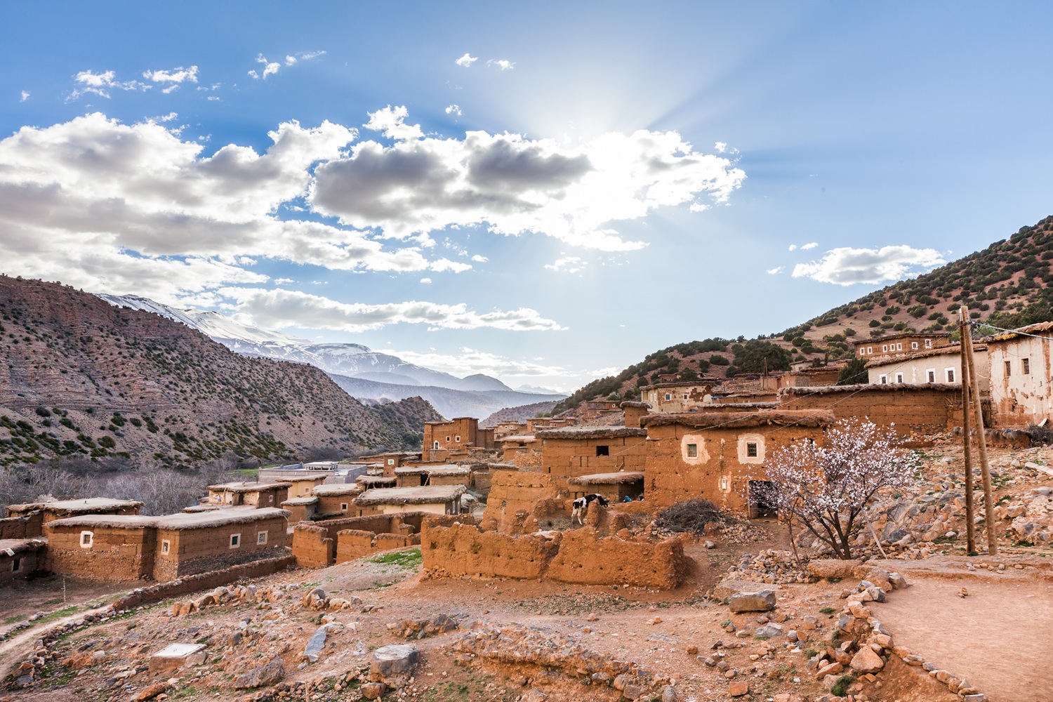 Arrival in Aït Bouguemez Valley, with High Atlas villages, terraced fields and peaceful family roots travel atmosphere.