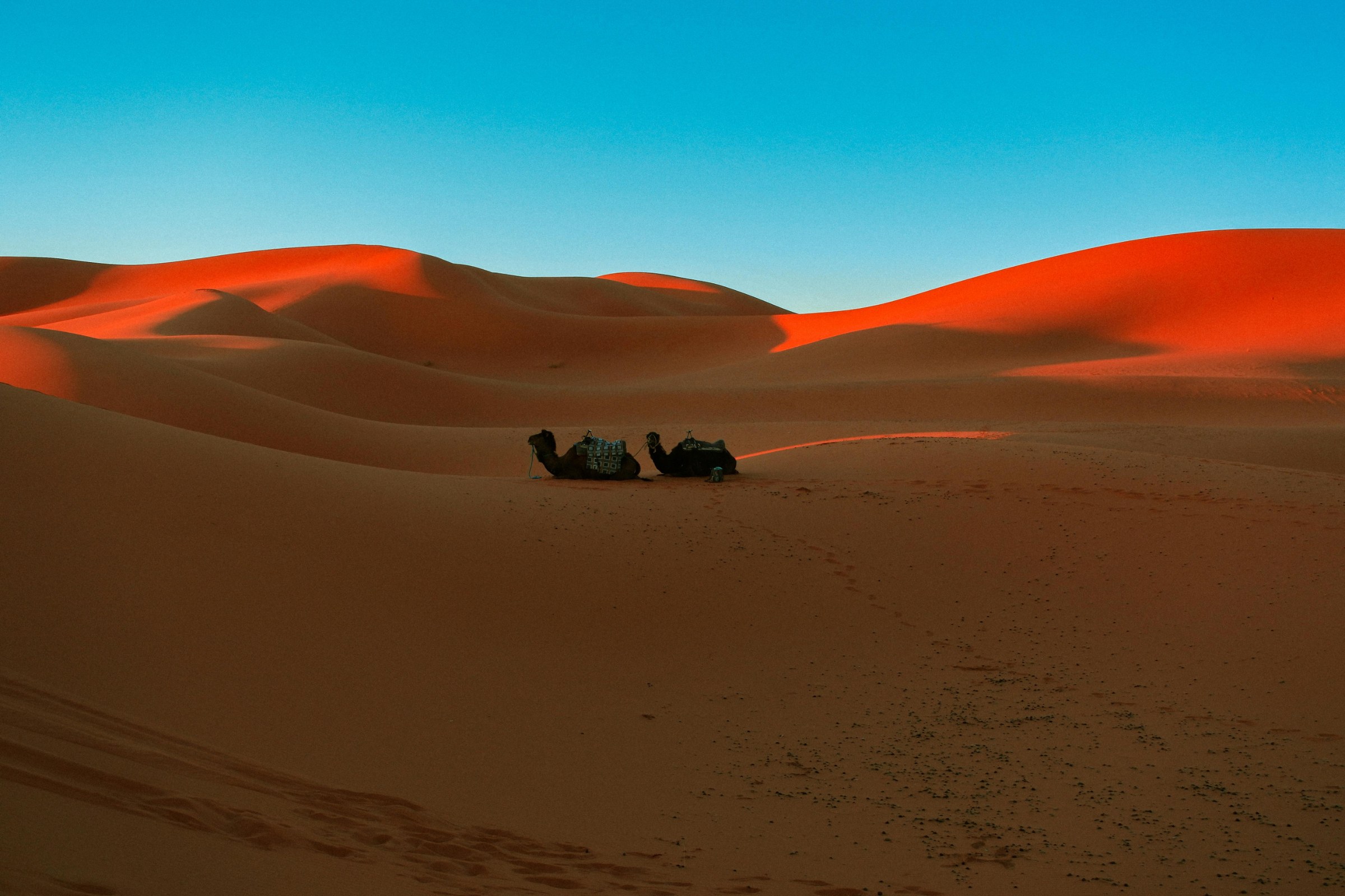 Todra Gorge and Erg Chebbi dunes near Merzouga, with Sahara desert camp and camel ride experience in Morocco.