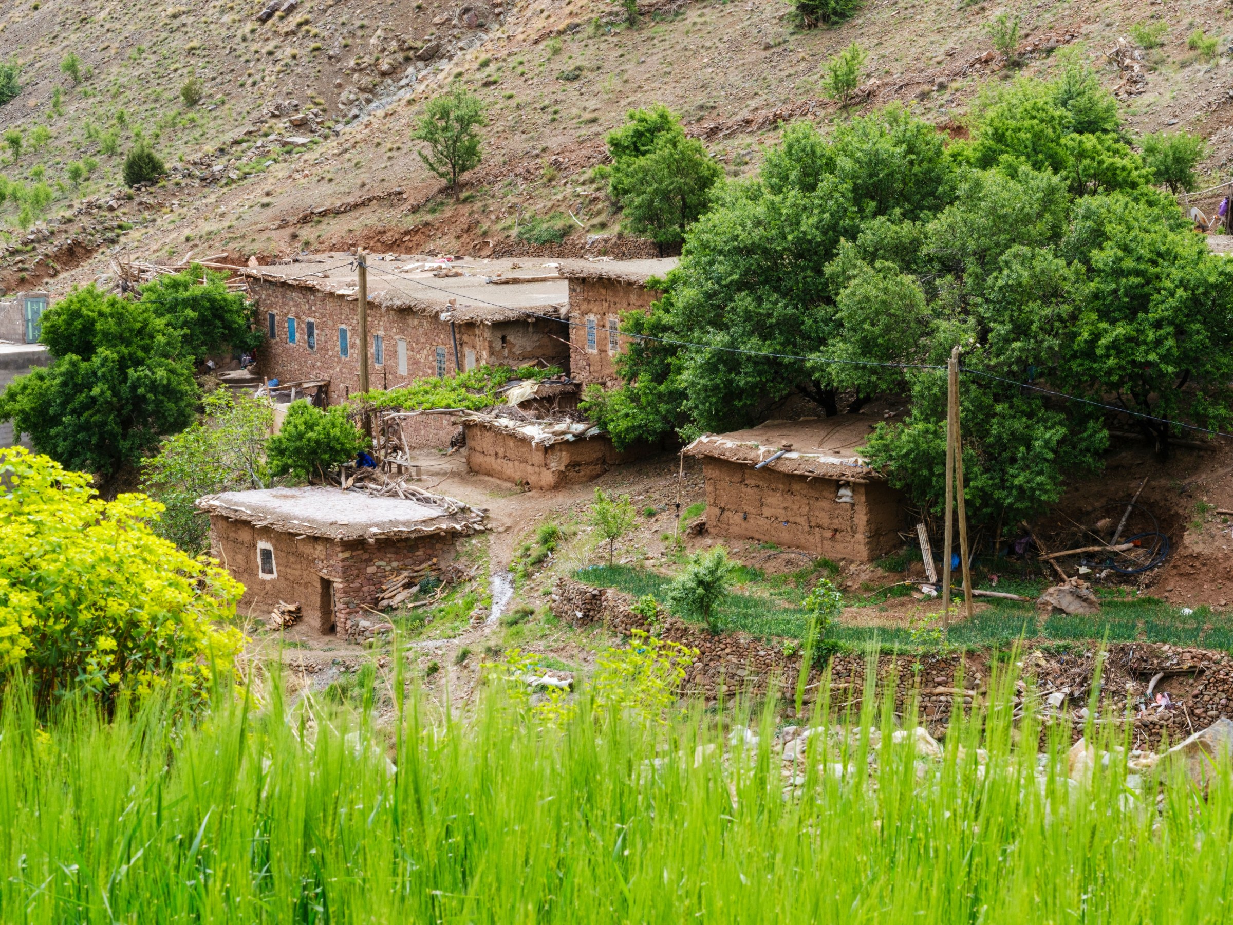 Guided walk in Aït Bouguemez Valley with Berber villages, terraced fields, Sidi Moussa granary and High Atlas mountain views.