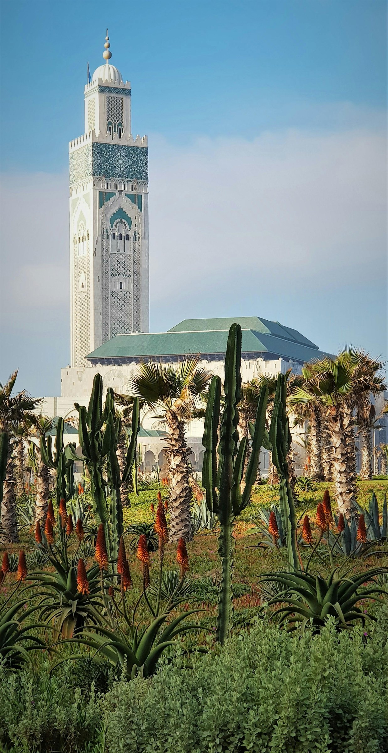 Travel in Casablanca with authentic local insight