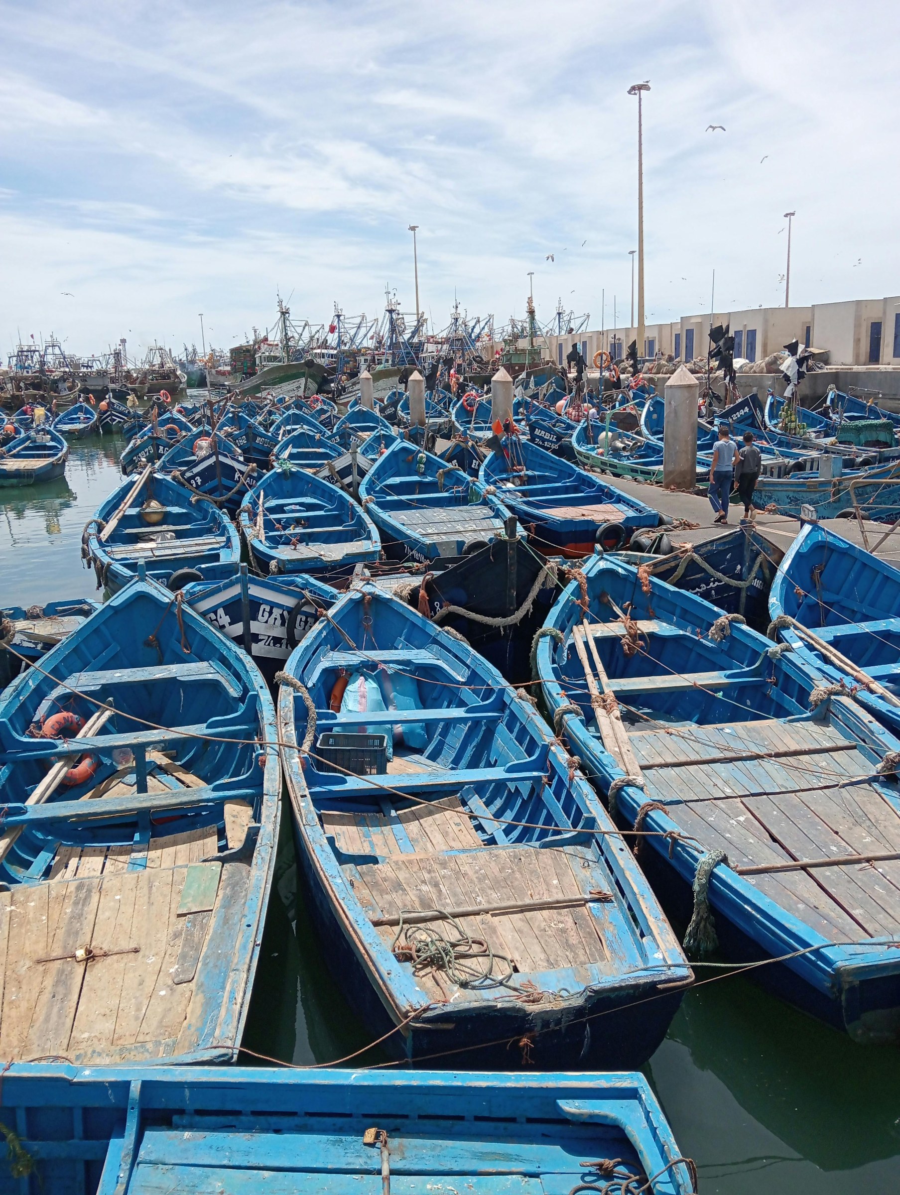 Travel in Essaouira with authentic local insight