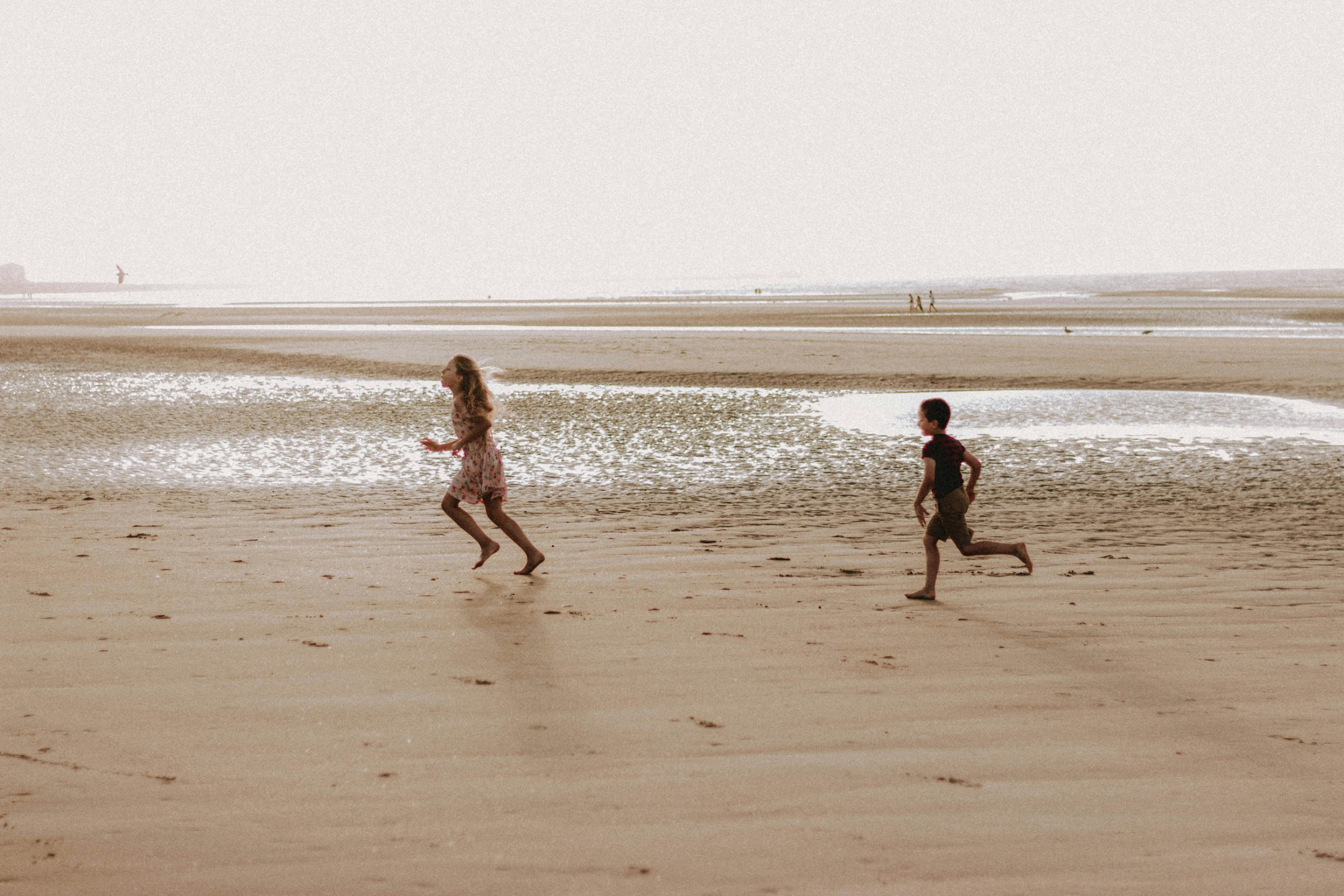 Family day in Essaouira, with medina walks, fishing port, beach time, seafood and optional surf or horseback riding.