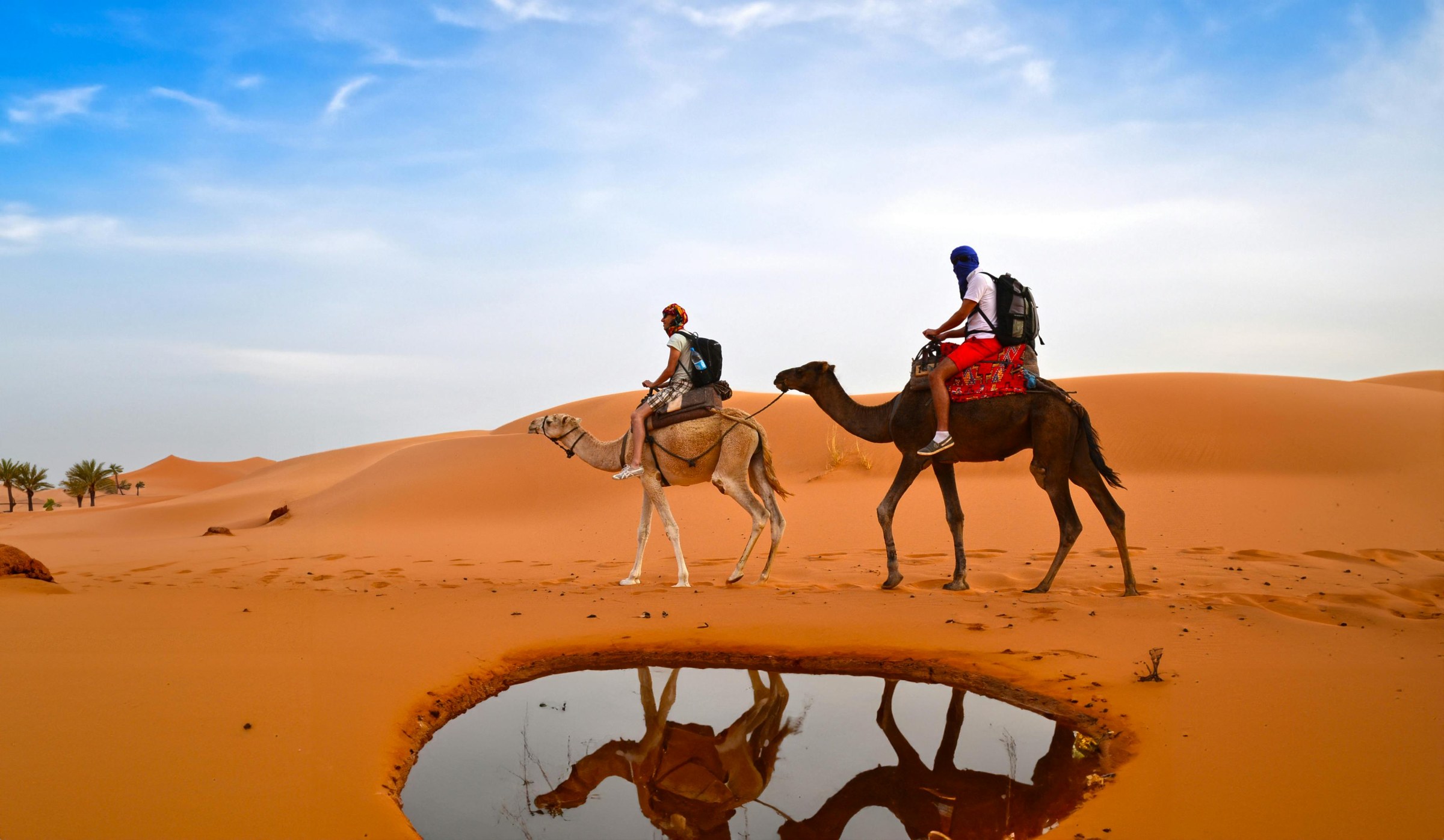 Journey from Fes to Merzouga through the Middle Atlas and Ziz Valley, ending at a luxury Sahara desert camp.