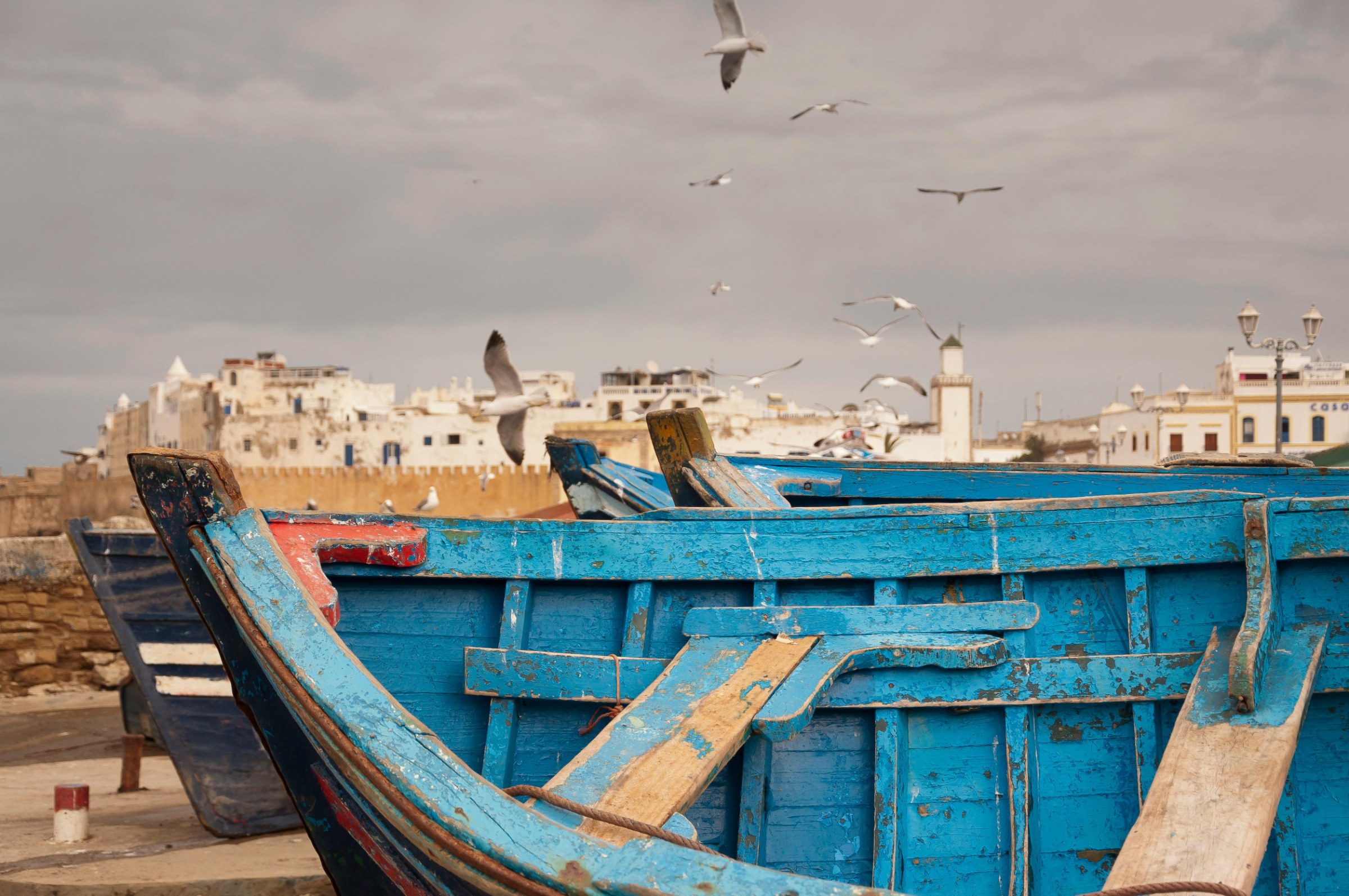 Essaouira Jewish heritage, historic medina, Atlantic ramparts and former trading city atmosphere during a Morocco cultural tour.