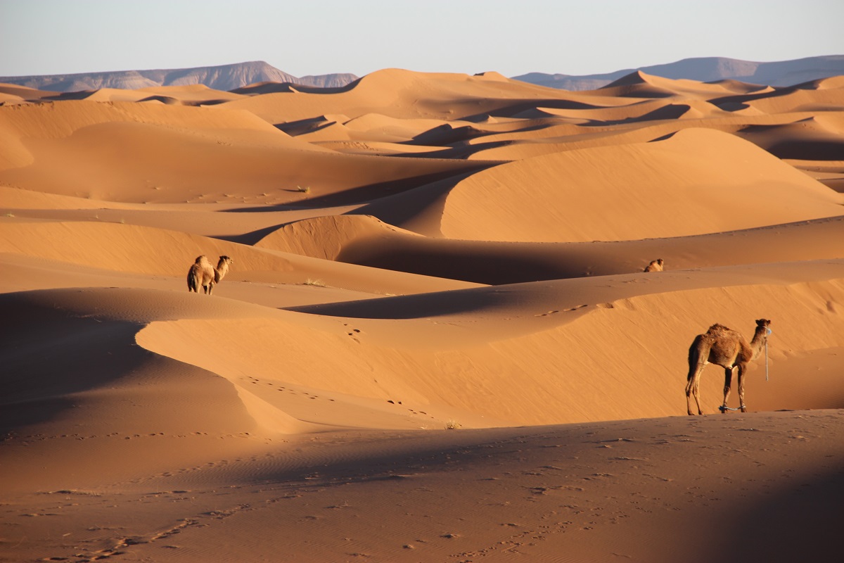 First Sahara trekking day near Erg Bounou, with sandy tracks, dunes, wide horizons and guided desert walking in Morocco.