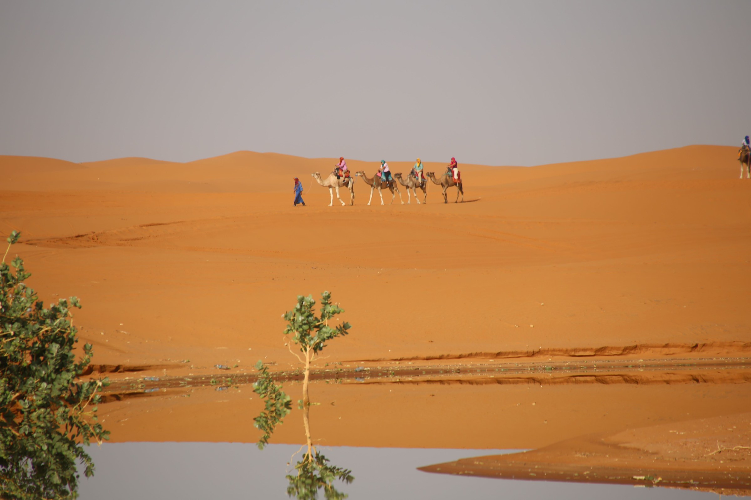 Sunrise over Erg Chebbi dunes in Merzouga, with Sahara landscapes, Gnaoua music and desert village experiences.