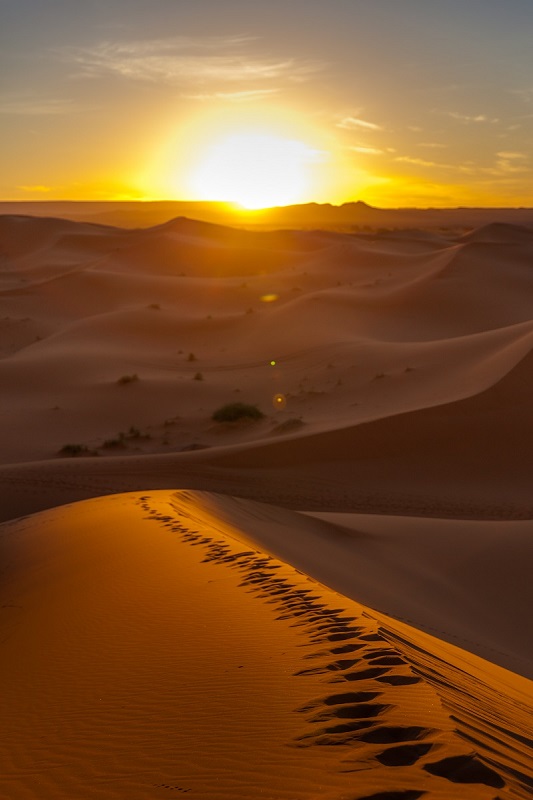 Sahara Desert, Morocco — plan with local experts