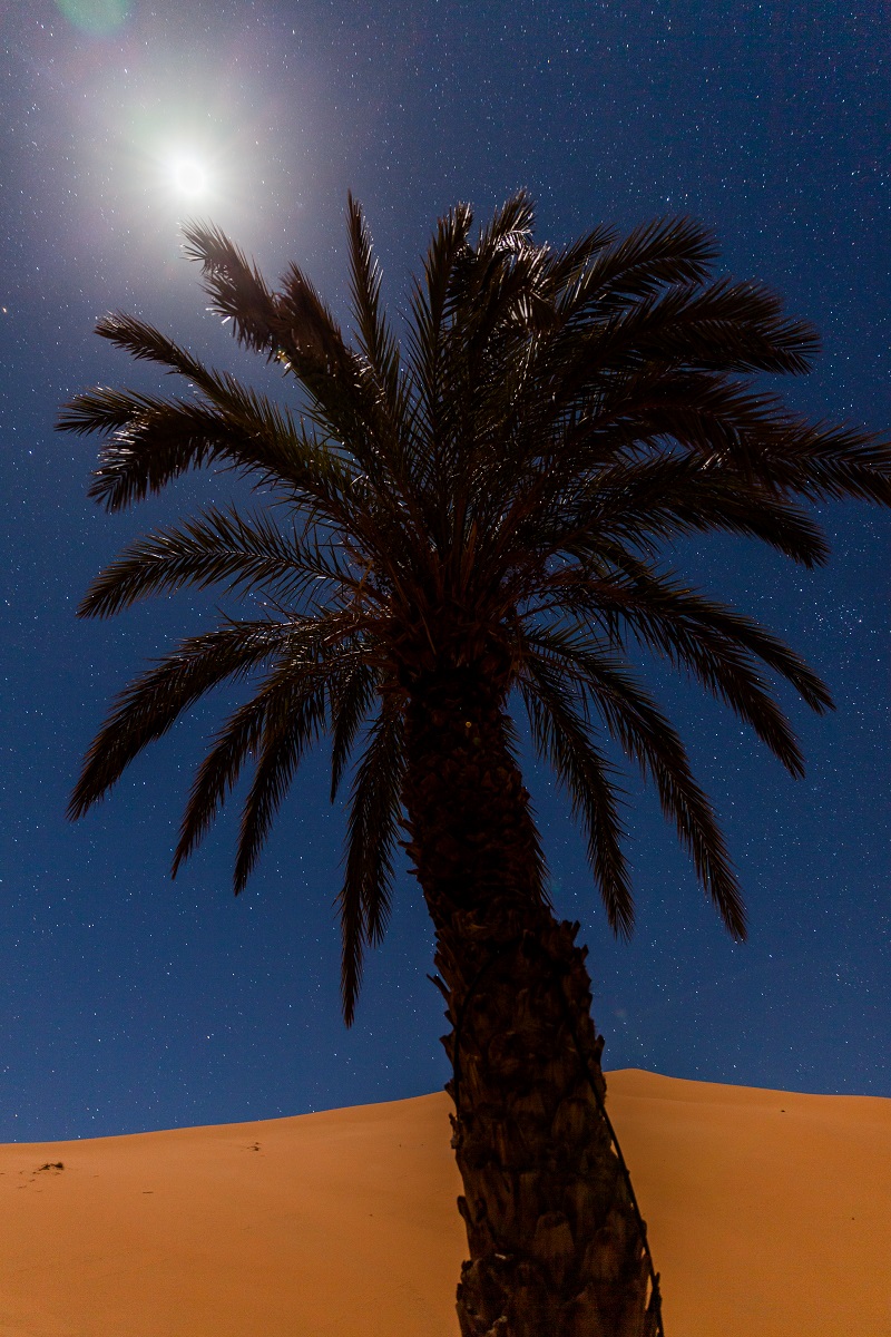Responsible travel in Sahara Desert